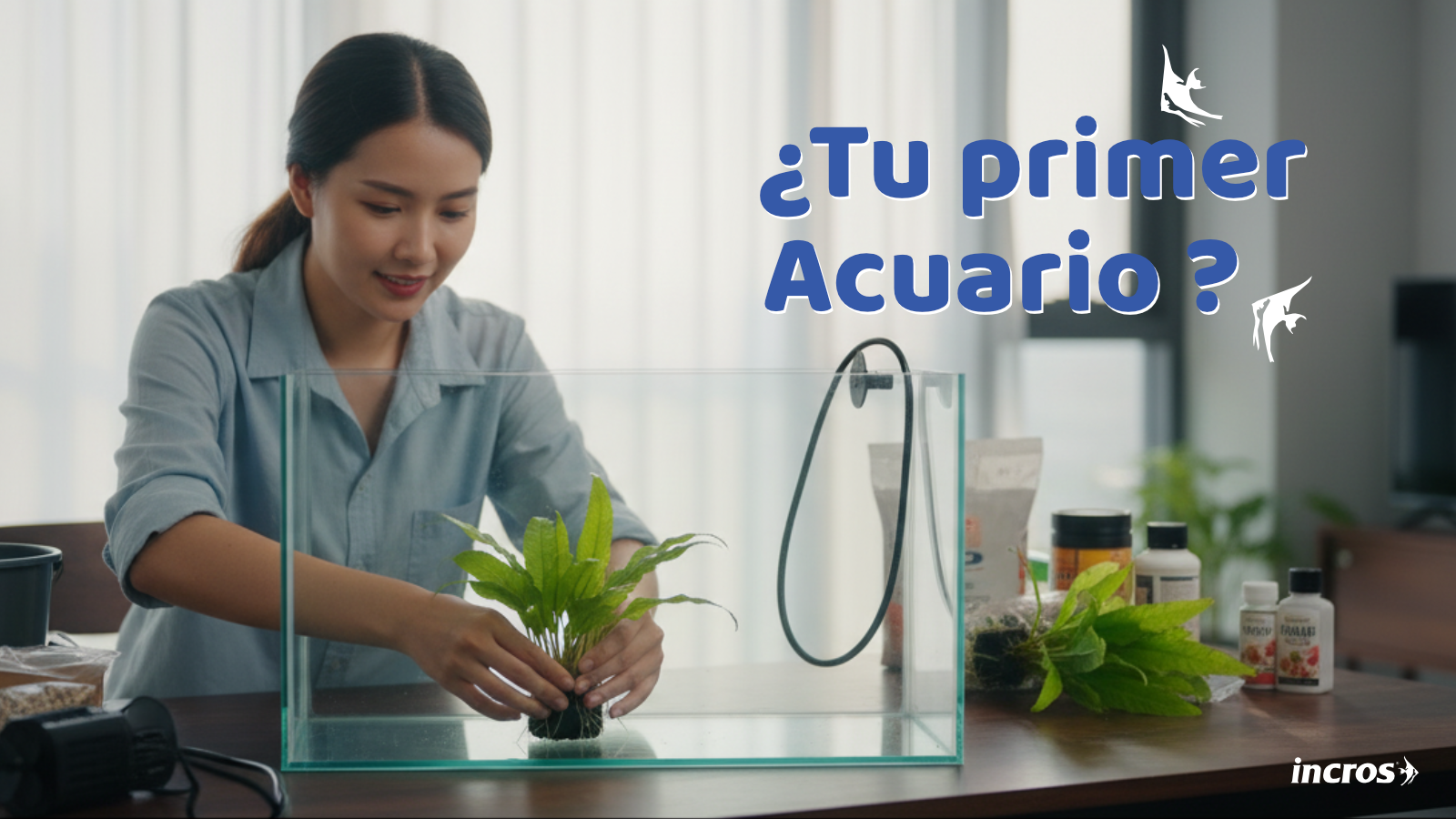 Todo lo que Necesitas para tu Primer Acuario (y lo que NO necesitas ...