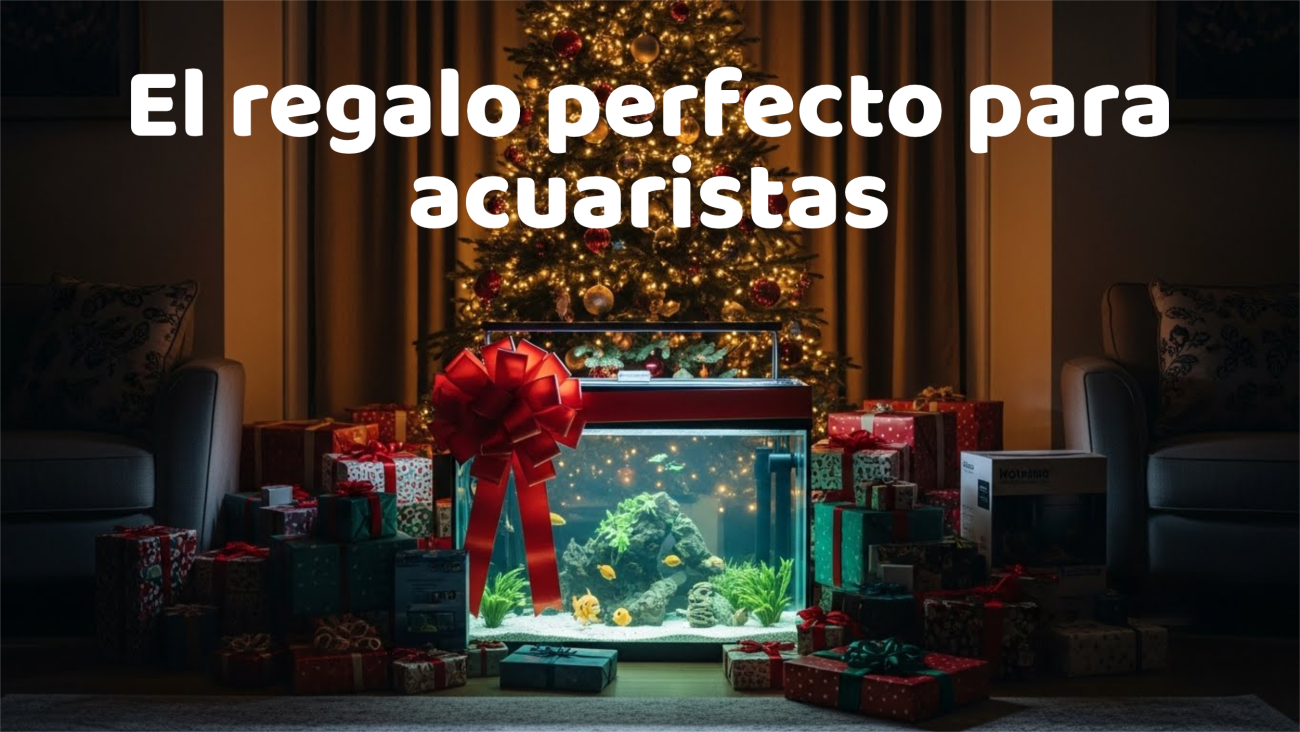 Acuario pequeño con moño rojo de regalo frente a árbol de Navidad - El regalo perfecto para acuaristas