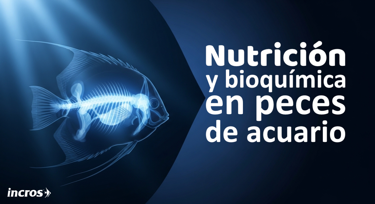Nutrición y bioquímica en peces de acuario - Portada Blog Incros